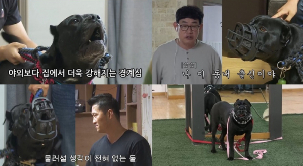 ▲‘개는 훌륭하다’(사진제공=KBS 2TV)