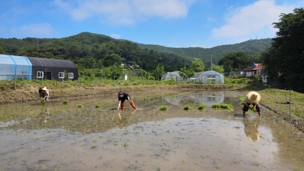 ▲'한국기행'(사진제공=EBS1)