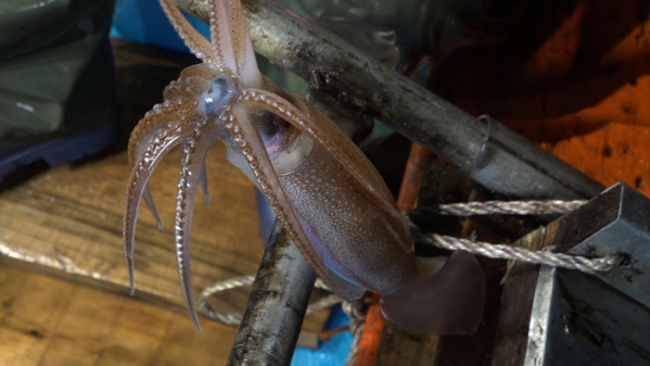 ▲'바닷가 사람들'(사진제공=EBS1)