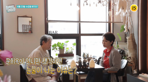 ▲'퍼펙트 라이프' 문희옥(사진제공=TV조선)