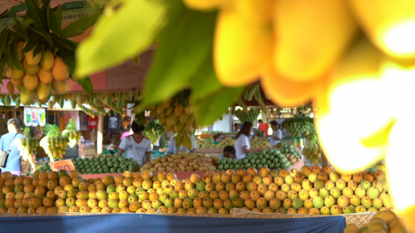 ▲'세계테마기행' 필리핀(사진제공=EBS1)