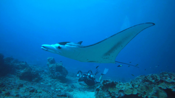 ▲'세계테마기행' 미크로네시아(사진제공=EBS1)