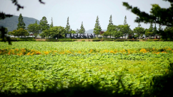 ▲'김영철의 동네 한 바퀴' 전남 무안(사진제공=KBS 1TV)