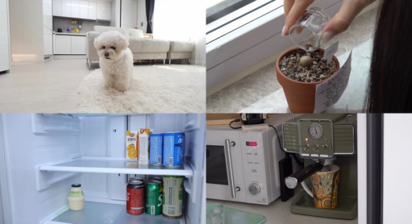 ▲‘전지적 참견 시점’(사진제공=MBC)