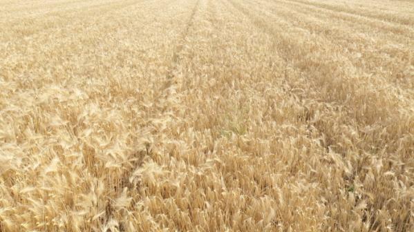 ▲'신계숙의 맛터사이클 다이어리'(사진제공=EBS1)