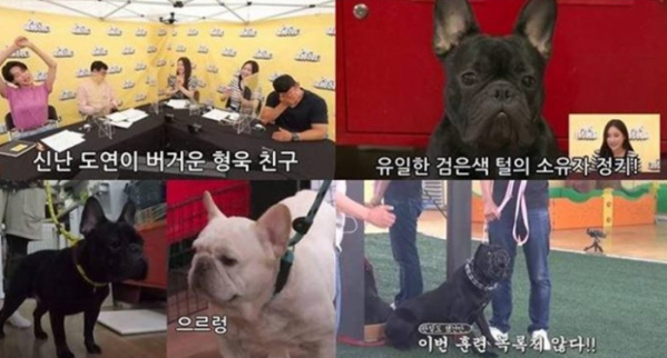 ▲‘개는 훌륭하다’(사진제공=KBS 2TV)