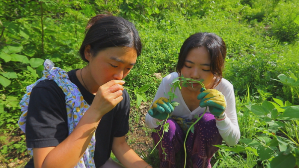 ▲'한국기행'(사진제공=EBS1)