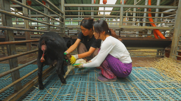 ▲'한국기행'(사진제공=EBS1)