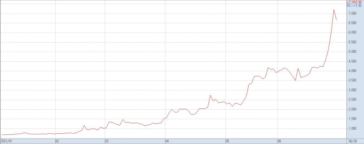 ▲이스타코의 올해 주가 상승률(자료제공=키움증권)