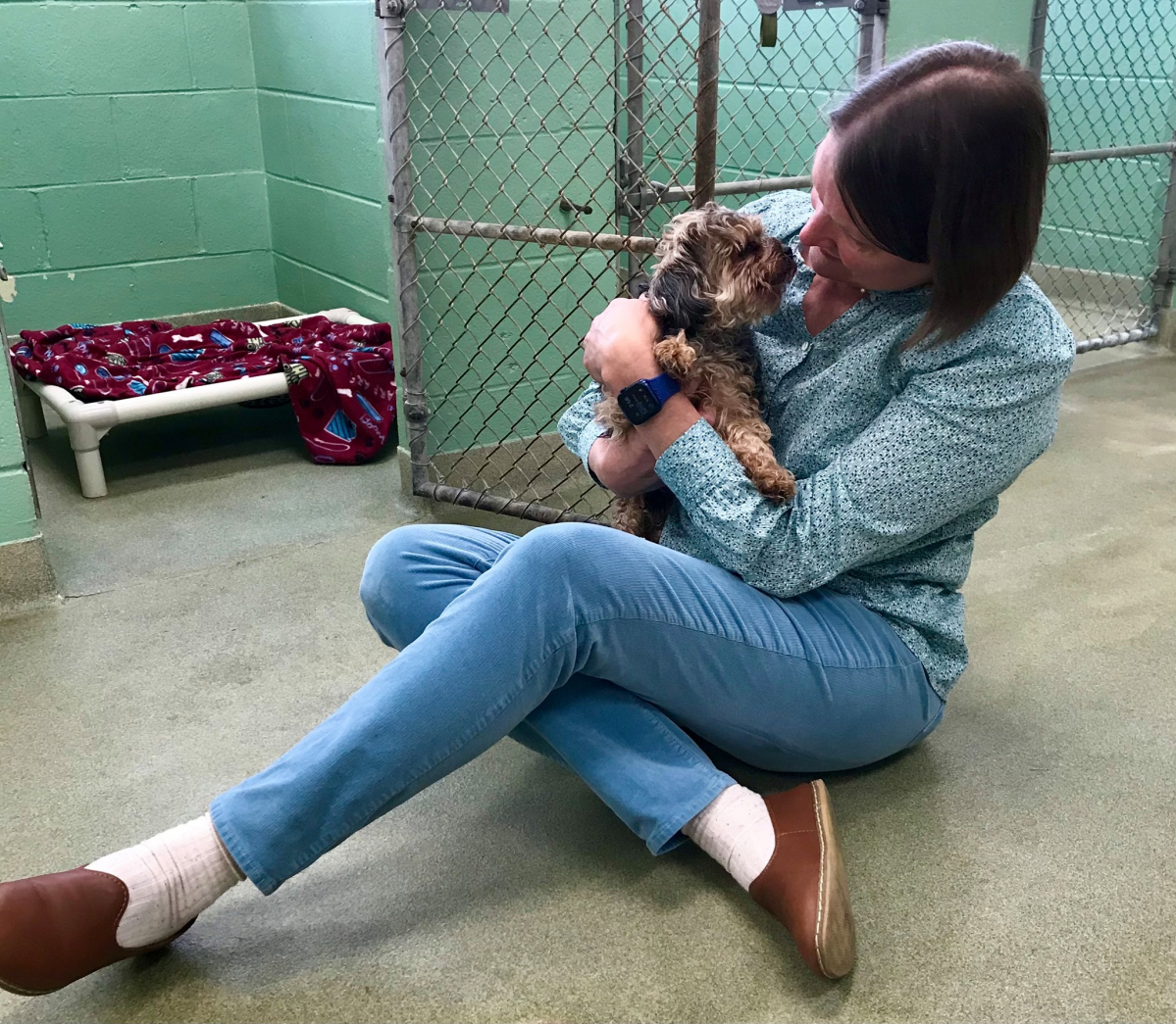 ▲7년 만에 다시 만난 페퍼와 견주 (Eaton County Animal Control 페이스북 캡처)