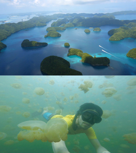 ▲'세계테마기행'(사진제공=EBS1)