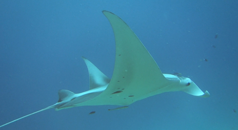 ▲'세계테마기행'(사진제공=EBS1)