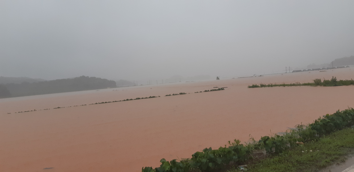 ▲집중호우가 내린 6일 오전 전남 해남군 화산면 일대 농경지가 침수돼 있다. (뉴시스)