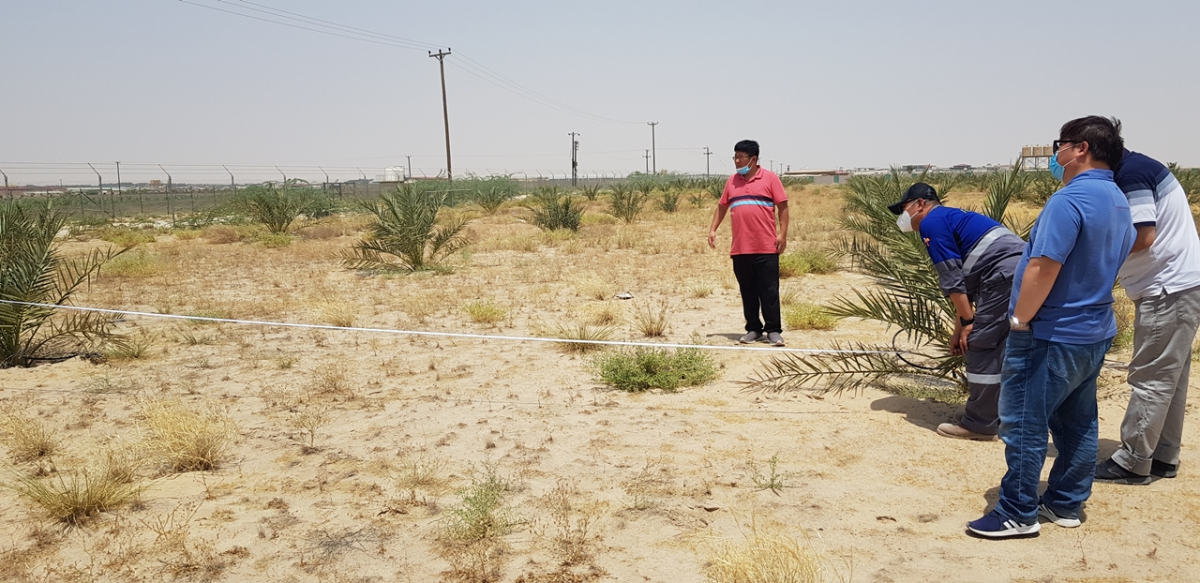 ▲쿠웨이트 현지에서 스마트팜 건설 부지를 살펴 보고 있는 포미트·플랜티팜 직원들. (사진제공=포미트)