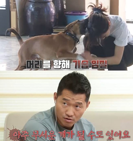 ▲‘개는 훌륭하다’(사진제공=KBS 2TV)