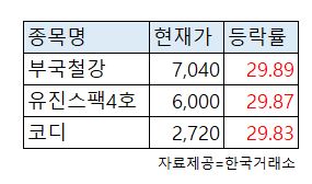 ▲13일 상한가 종목 현황.  (자료제공=한국거래소)