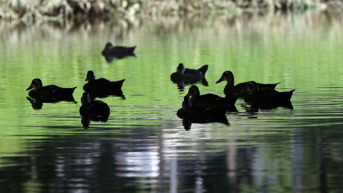 (사진=연합뉴스)