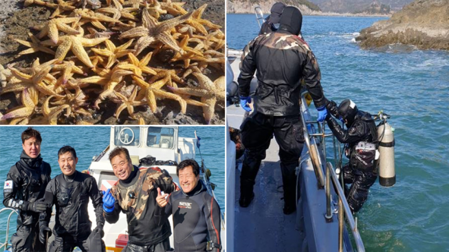 ▲포스코의 기업시민 시그니처 브랜드 Green With POSCO의 탄소중립 활동 클린오션봉사단이 2월 수중 생활 쓰레기 청소 및 불가사리 채취 활동을 하고 있다. (사진제공=포스코)