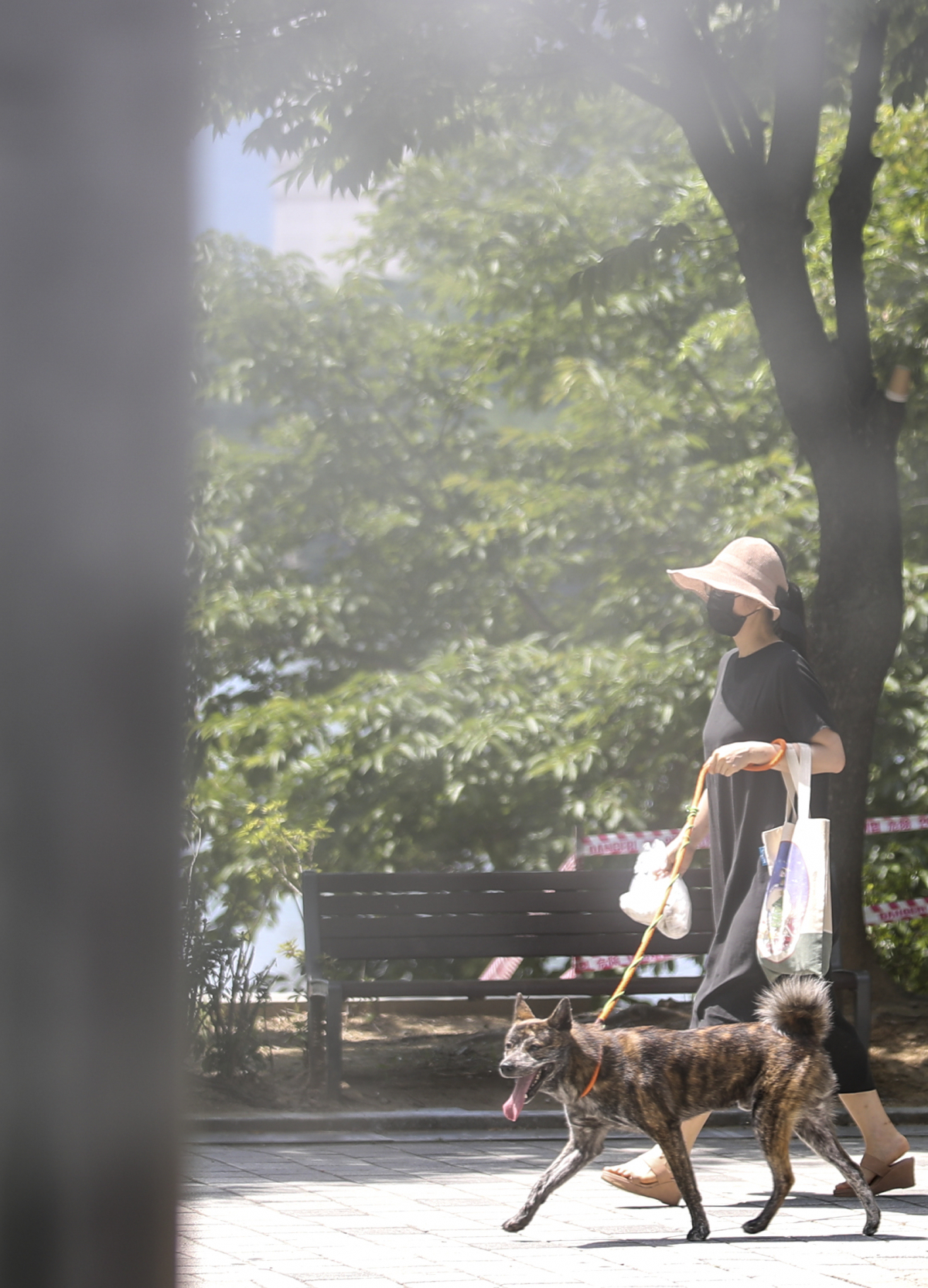 ▲서울 송파구 석촌호수에 더위를 식혀줄 쿨링포그가 나오고 있다. (뉴시스)