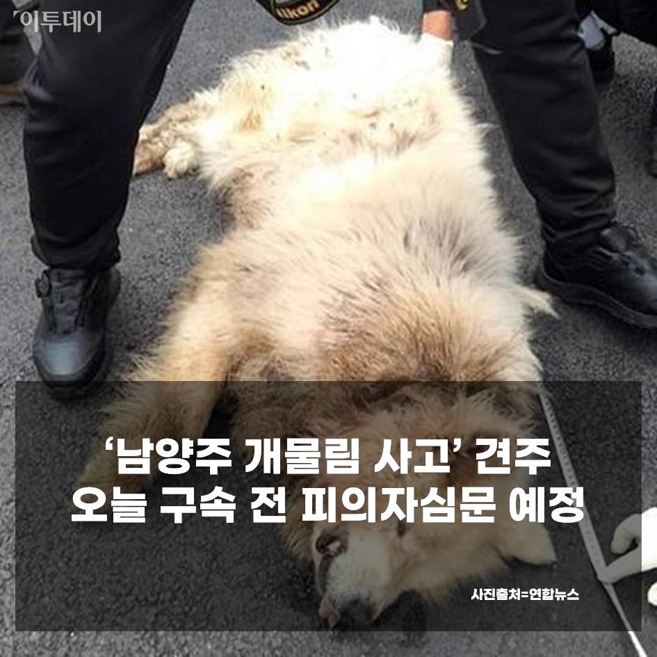 ▲'남양주 개물림 사망사고'의 견주가 26일 영장실질심사를 받는다. (연합뉴스)