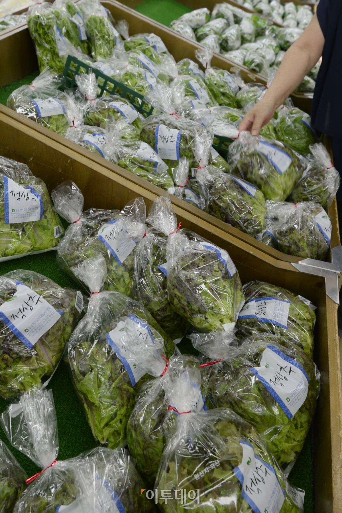 (조현호 기자 hyunho@)