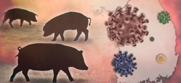 (사진= 연합뉴스)