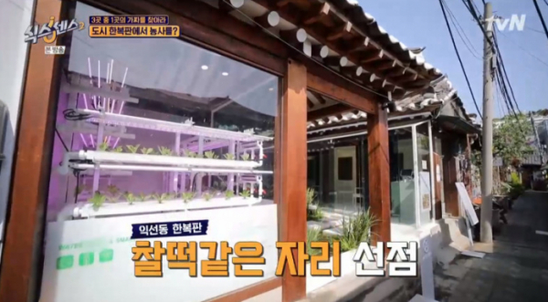 ▲익선동 수경 재배 식당(사진=tvN 방송화면 캡처)
