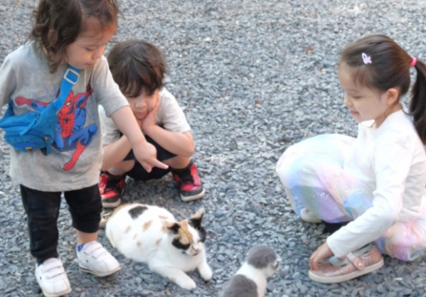 ▲‘슈퍼맨이 돌아왔다’ (사진제공=KBS 2TV)