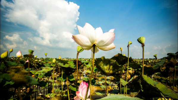 ▲'세계테마기행'(사진제공=EBS1)