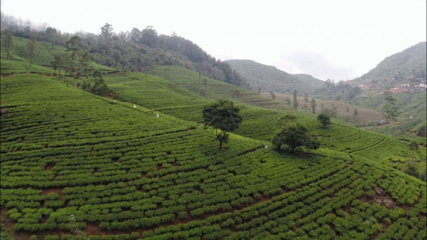 ▲'세계테마기행'(사진제공=EBS1)