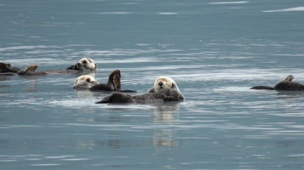 ▲'걸어서 세계속으로' 알래스카(사진제공=KBS 1TV)