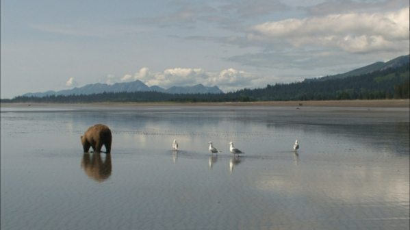 ▲'걸어서 세계속으로' 알래스카(사진제공=KBS 1TV)