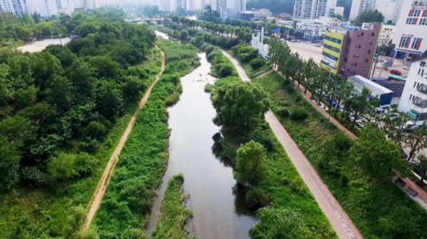 ▲'김영철의 동네 한 바퀴'(사진제공=KBS 1TV)