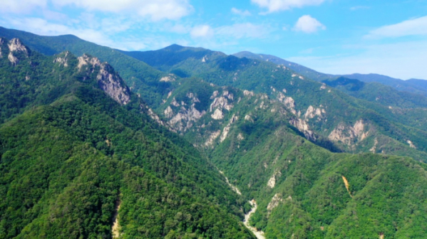 ▲'영상앨범 산'(사진제공=KBS 2TV)