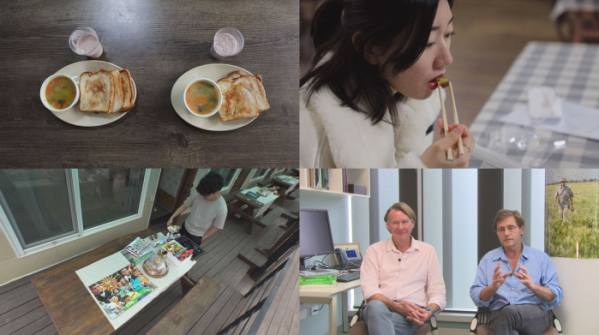 ▲SBS스페셜 육채전쟁(사진제공=SBS)