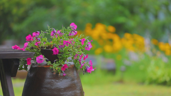 ▲'한국기행' (사진제공=EBS1)