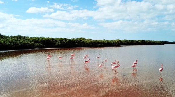 ▲'세계테마기행'(사진제공=EBS1)