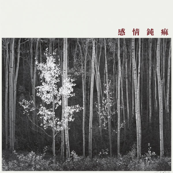 ▲신해경(사진 = BESPOK(비스포크) 제공)