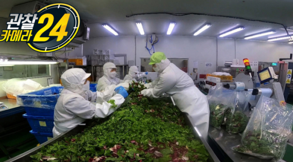 ▲'관찰카메라24'(사진제공=채널A)