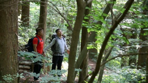 ▲'영상앨범 산'(사진제공=KBS 2TV)