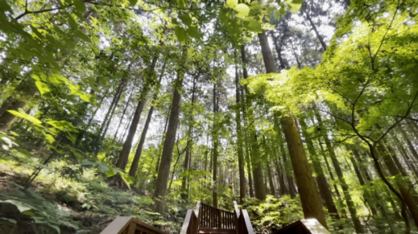 ▲'영상앨범 산'(사진제공=KBS 2TV)