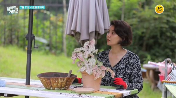 ▲'퍼펙트라이프'(사진제공=TV조선)