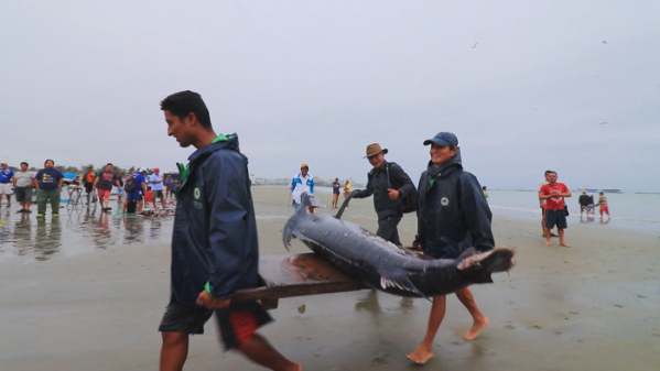 ▲'세계테마기행' 에콰도르(사진제공=EBS1)