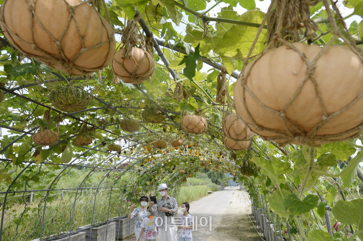 (조현호 기자 hyunho@)