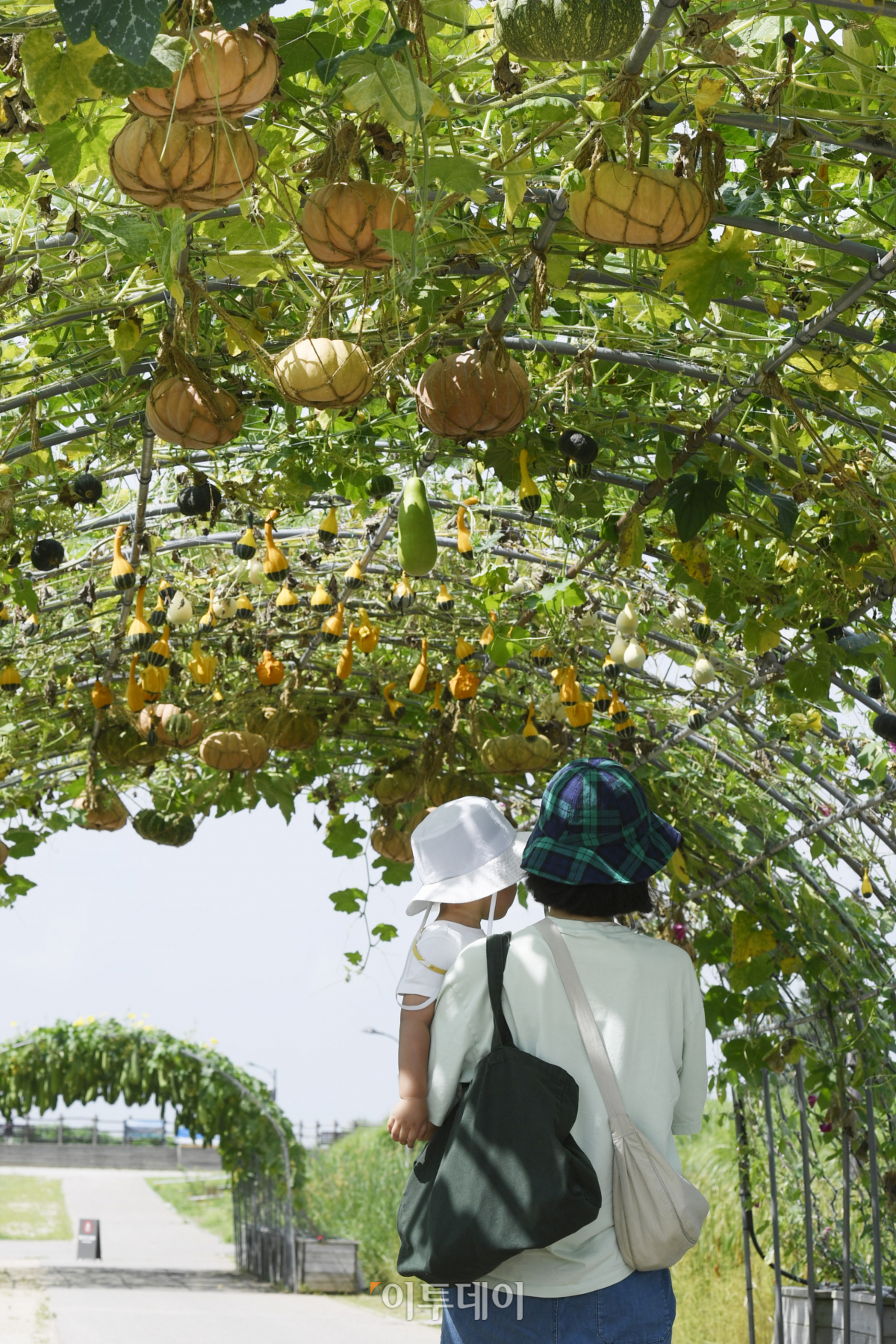 (조현호 기자 hyunho@)