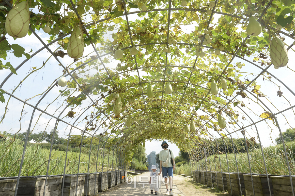 (조현호 기자 hyunho@)