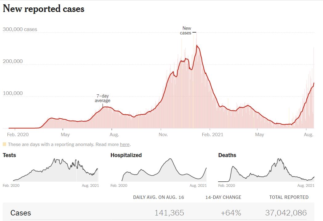 ▲미국 7일간 하루 평균  코로나19 신규 확진자 수 추이. 뉴욕타임스 홈페이지 캡처