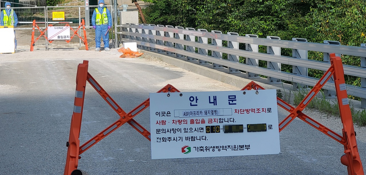 ▲16일 강원 인제군의 한 농가에서 아프리카돼지열병이 발생해 방역당국이 긴급 방역을 실시하고 있다 (연합뉴스)