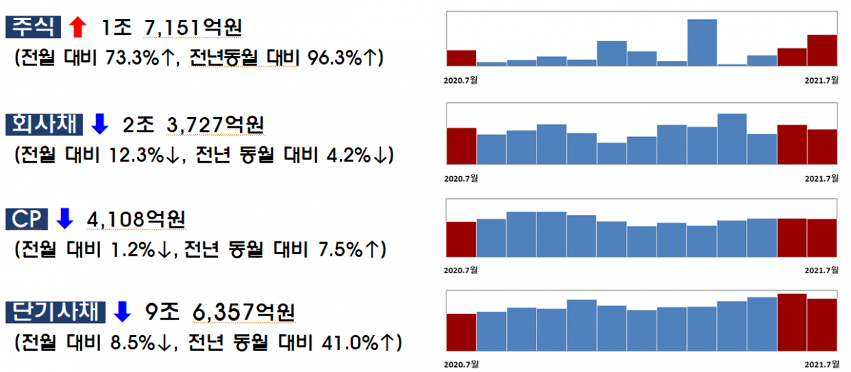 (제공=금융감독원)