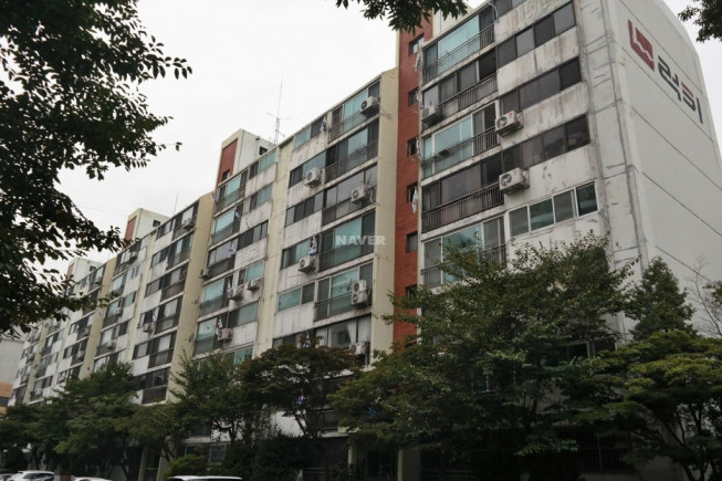 ▲서울 내 소규모 아파트 '미니 재건축' 바람이 거세다. 집값 급등으로 수익성이 높아지고 서울시가 규제 철폐를 공언하면서 소규모 단지를 중심으로 사업 추진 기대감이 커졌다. 사진은 서울 강남구 도곡동 '개포럭키' 아파트 모습. (네이버부동산)